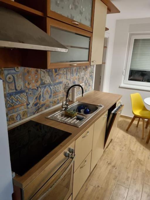 Studio Apartman Bojana 34M2,Free Wifi,Parking Sisak Exterior foto
